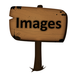 Signal Images Icon 256x256 png